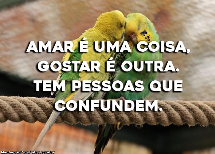 Amar é uma Coisa, Gostar é Outra