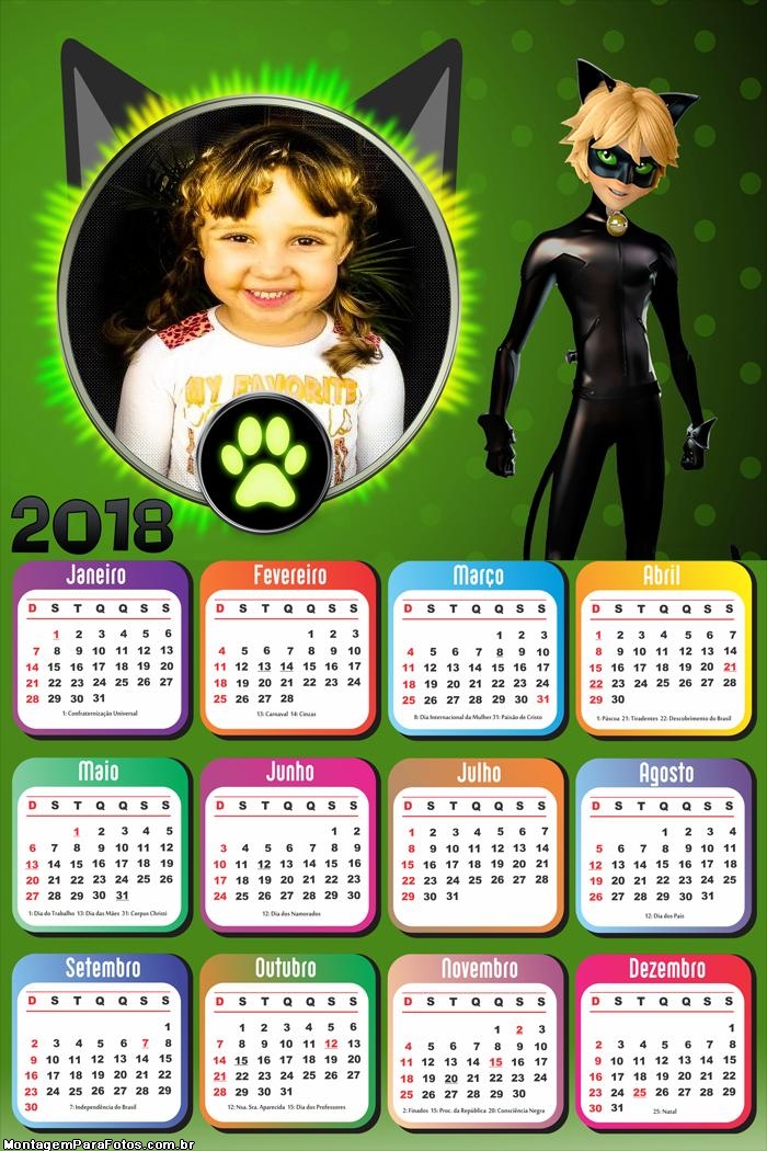 Calendário 2018 Cat Noir