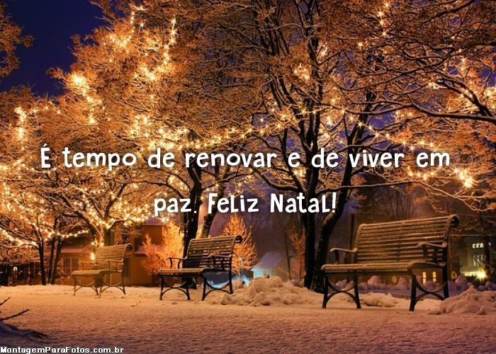 Renovar e viver em paz