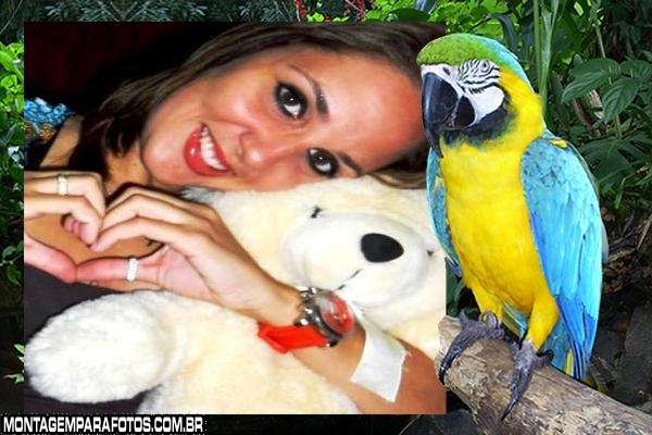 Arara Azul e Amarelo