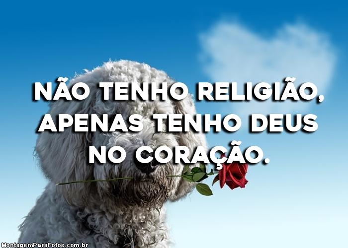 Não Tenho Religião