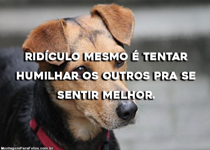 Ridículo Mesmo é Tentar Humilhar