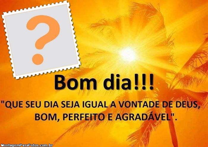 Bom Dia Perfeito e Agradável