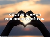 Cultive o Amor