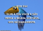 Beleza que Deus nos Dá