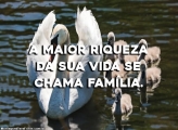 A Maior Riqueza da Sua Vida