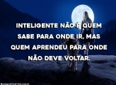 Inteligente Não é Quem