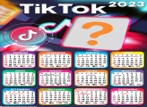 Calendário 2023 TikTok Foto Colagem Grátis