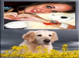 Cachorro e Flores Amarelas