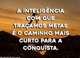 A Inteligência com que Traçamos Metas